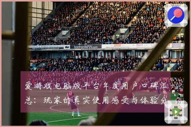 爱游戏电脑版平台年度用户口碑汇总：玩家的真实使用感受与体验分享