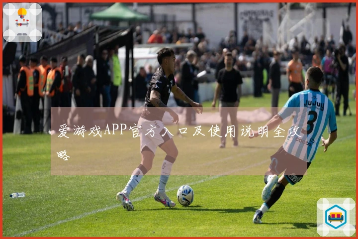 爱游戏APP官方入口及使用说明全攻略