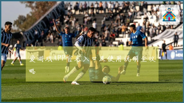 爱游戏APP官方入口及使用说明全攻略